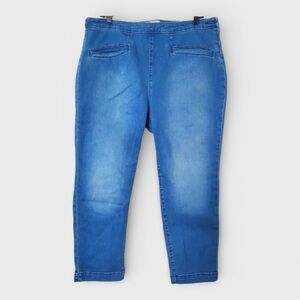 123 Anthropologie Pilcro & The Letterpress Skipper Crop Side Zipper Jeans